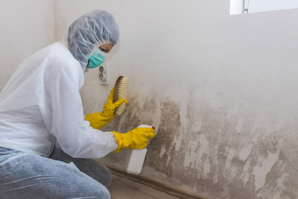 Best Mold Testing  in Worthington, MN