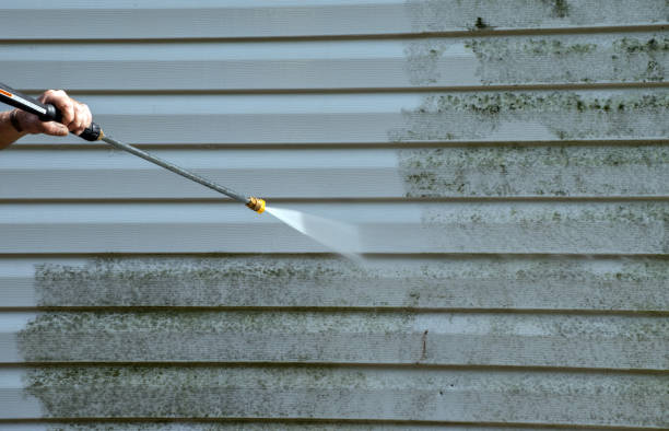 Mold Removal Process in Worthington, MN